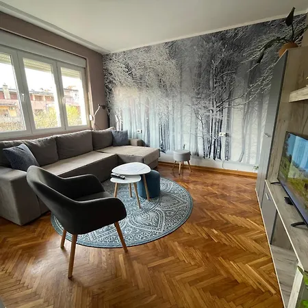 Avenia * نوفي ساد