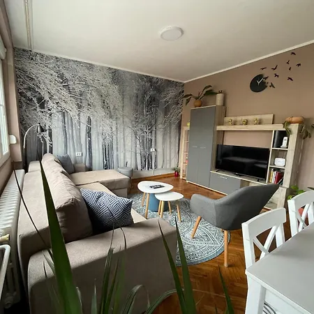 Avenia * نوفي ساد