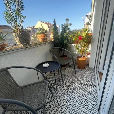 Avenia * نوفي ساد