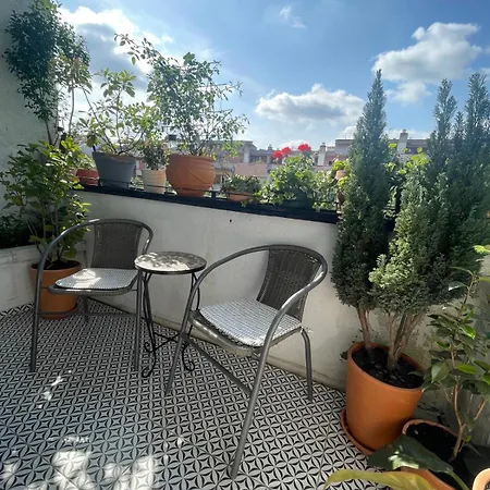 Avenia * نوفي ساد