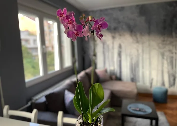 Apartamento Avenia Novi Sad